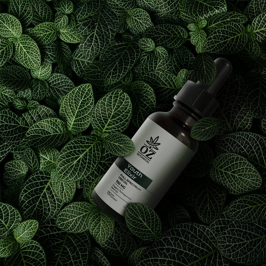 Benefits of CBD Oil